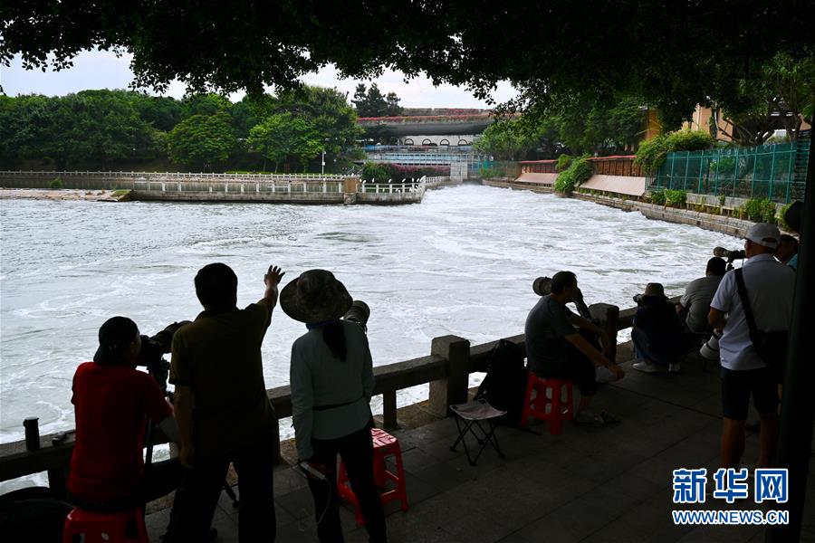 (特區(qū)40年·圖文互動)(2)高顏值的生態(tài)花園之城——廈門生態(tài)建設(shè)觀察